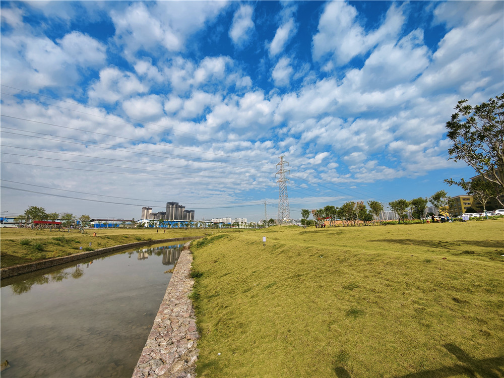 小工作群發(fā)揮大作用，共護(hù)朝陽溪兩岸生態(tài)福祉